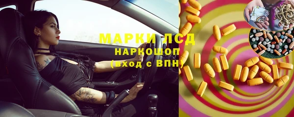 шишки Кодинск