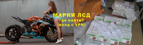 дживик Козельск