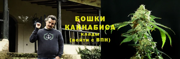 дживик Козельск
