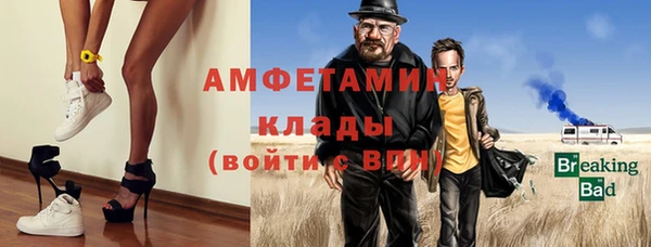 шишки Кодинск