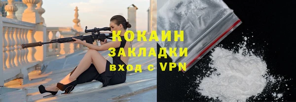 дживик Козельск