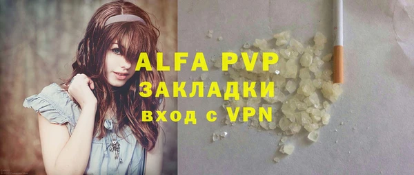 дживик Козельск