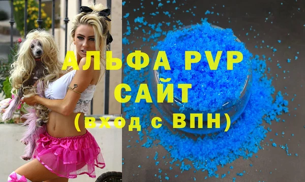 шишки Кодинск