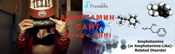 шишки Кодинск