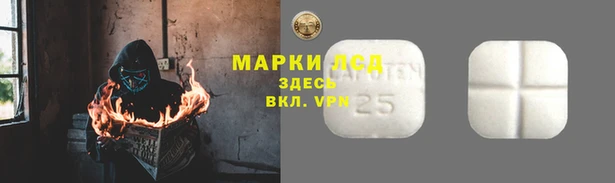 дживик Козельск
