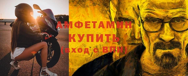 шишки Кодинск