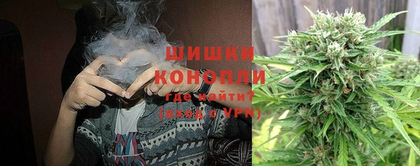 дживик Козельск