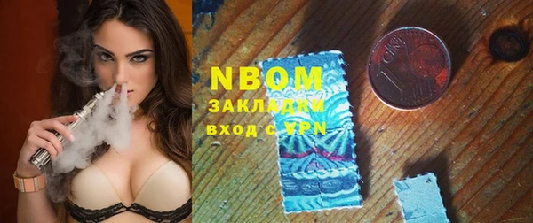 шишки Кодинск