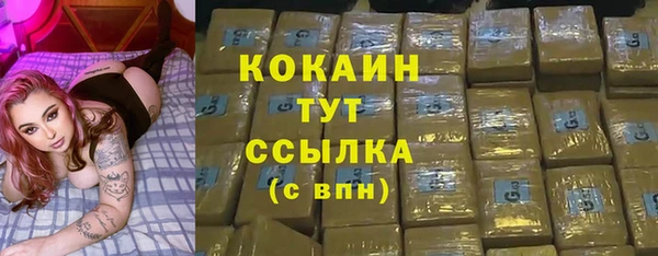 дживик Козельск