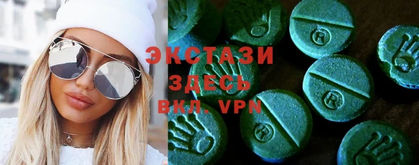 дживик Козельск