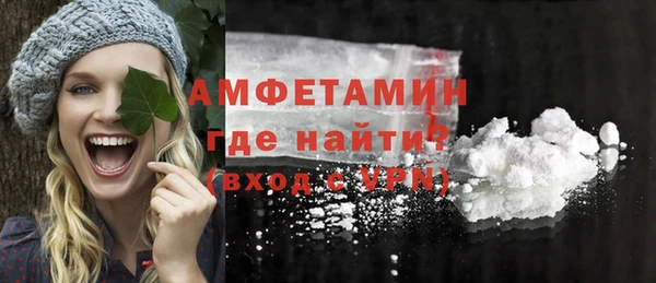шишки Кодинск