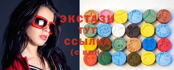 шишки Кодинск