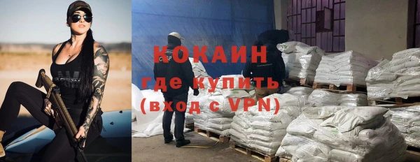 дживик Козельск