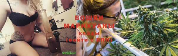 дживик Козельск