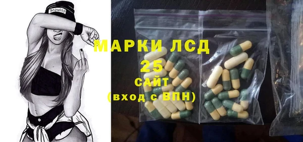 шишки Кодинск